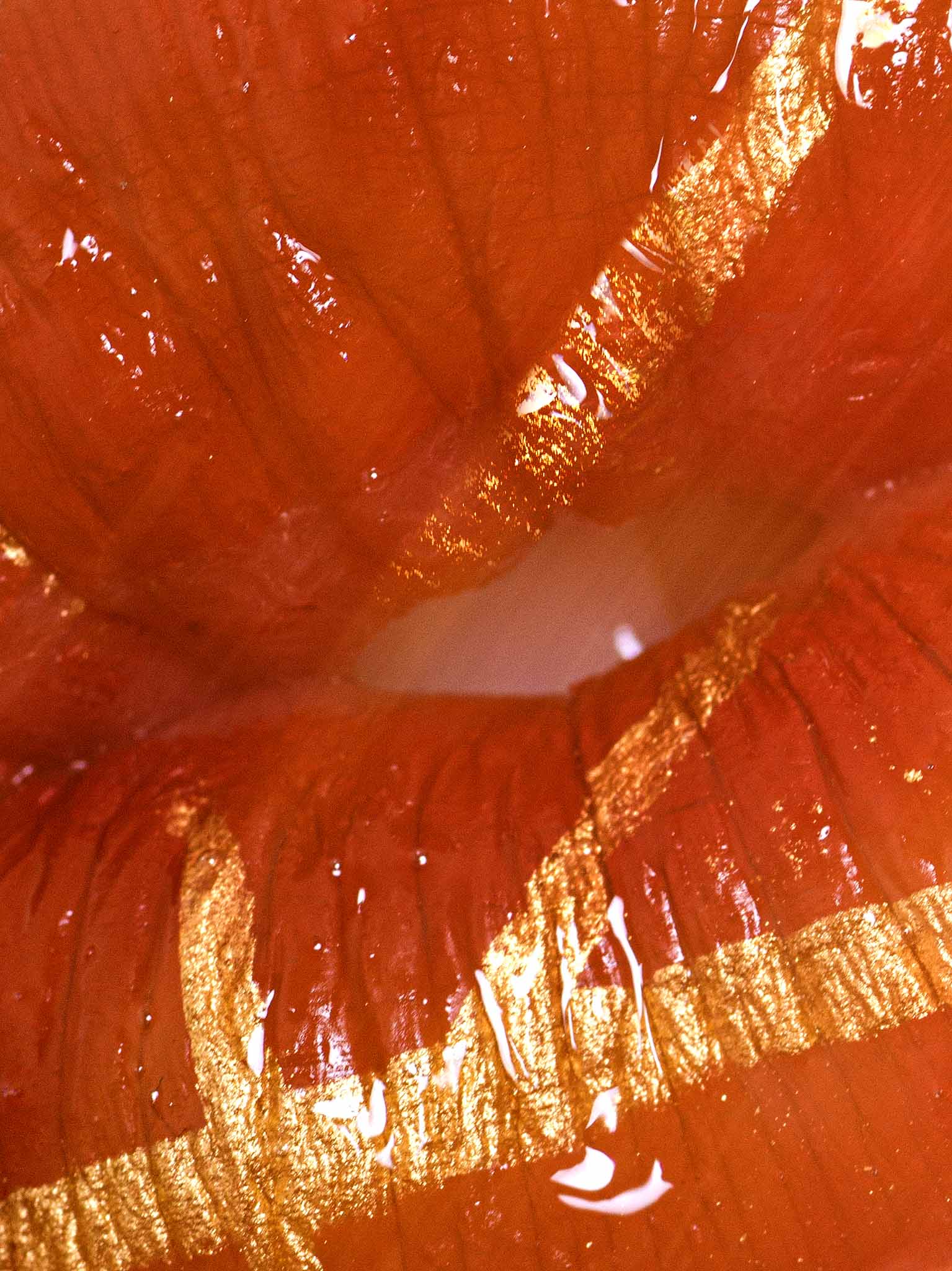 Juicy Lip Juicy red Lip